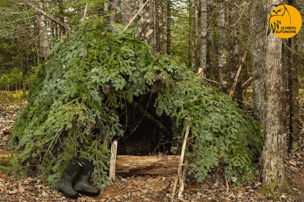 abri de survie avec une couverture en sapin
