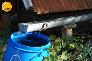 bibon sous une goutière pour récupérer l'eau de pluie